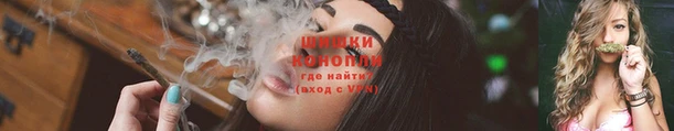 прущие крисы Белокуриха
